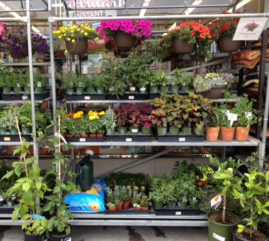nursery
