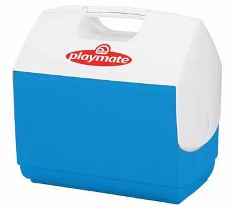 Igloo Cooler